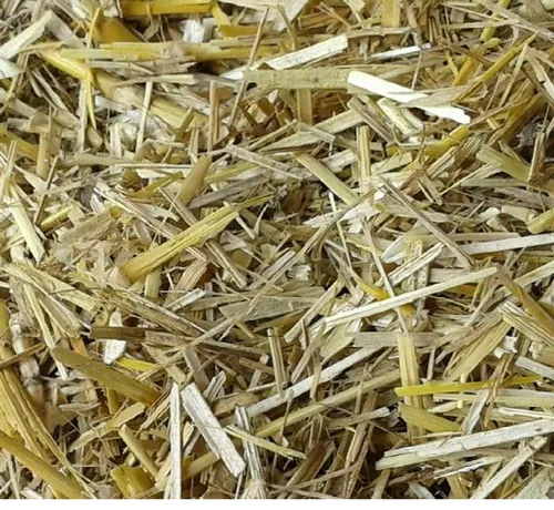Wheat Straw